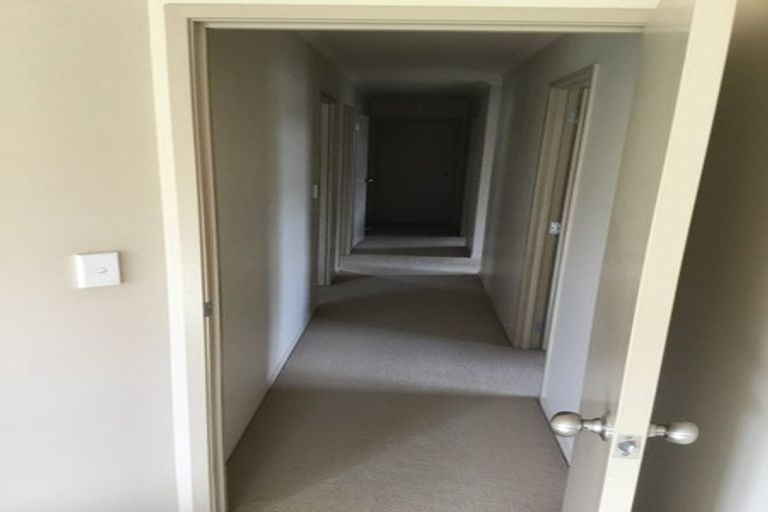 Photo of property in 17 Watkins Road, Cambridge, 3434