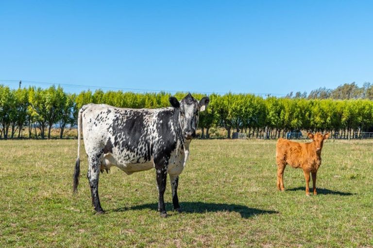 Photo of property in 645 Tancreds Road, Lincoln, Christchurch, 7676