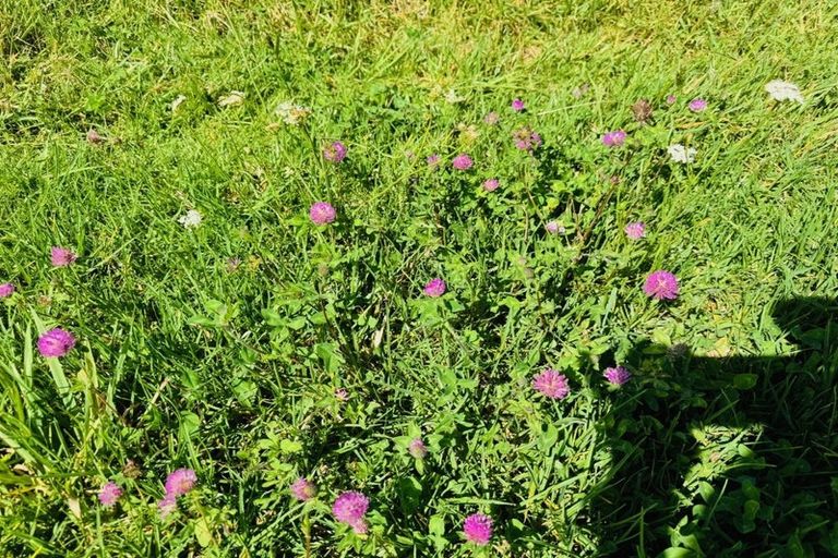 Photo of property in 4675b Far Road North, Houhora, Kaitaia, 0484