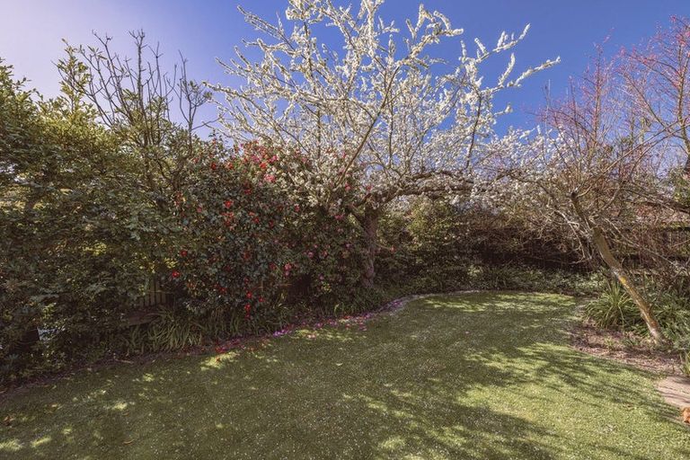 Photo of property in 184 Harewood Road, Papanui, Christchurch, 8053