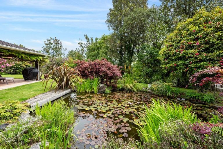 Photo of property in 231 Millar Road, Lake Okareka, Rotorua, 3076