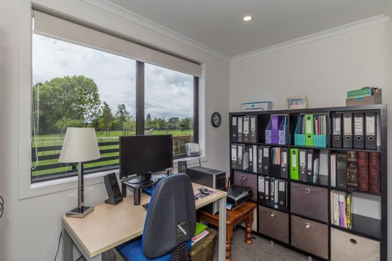 Photo of property in 126 Gladstone Road, Levin, 5571