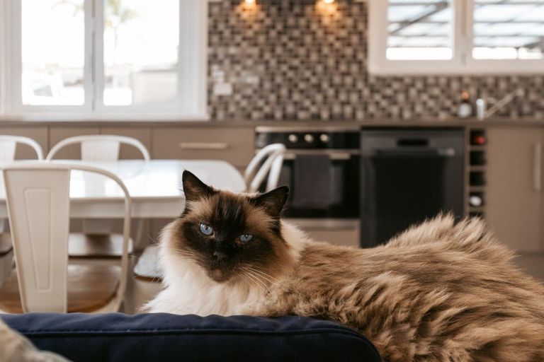 Photo of property in 10a Carysfort Street, Mount Maunganui, 3116