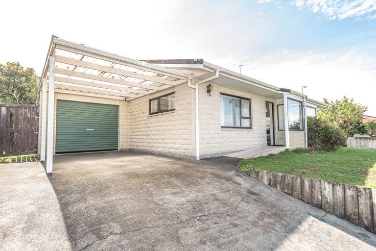 Photo of property in 62 Treadwell Street, Springvale, Whanganui, 4501