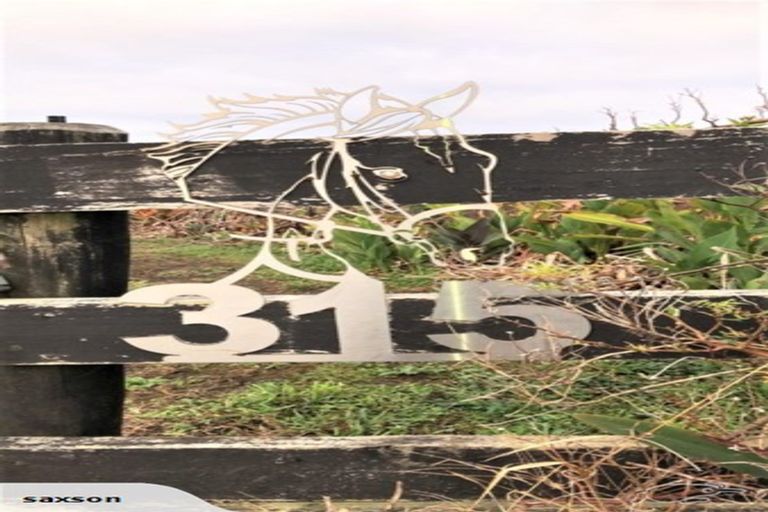 Photo of property in 315 Mercer Ferry Road, Mercer, Tuakau, 2696