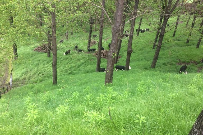 Photo of property in 608 Apley Road, Puketapu, Napier, 4184