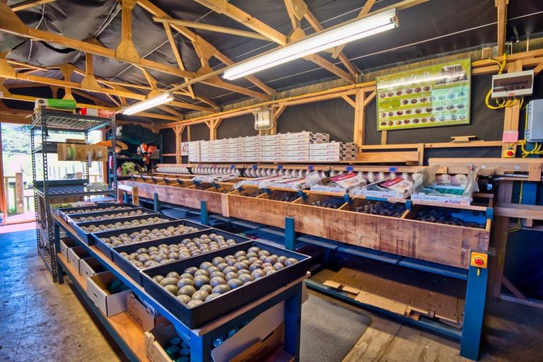 Photo of property in 427 Soldiers Road, Lower Kaimai, Tauranga, 3171