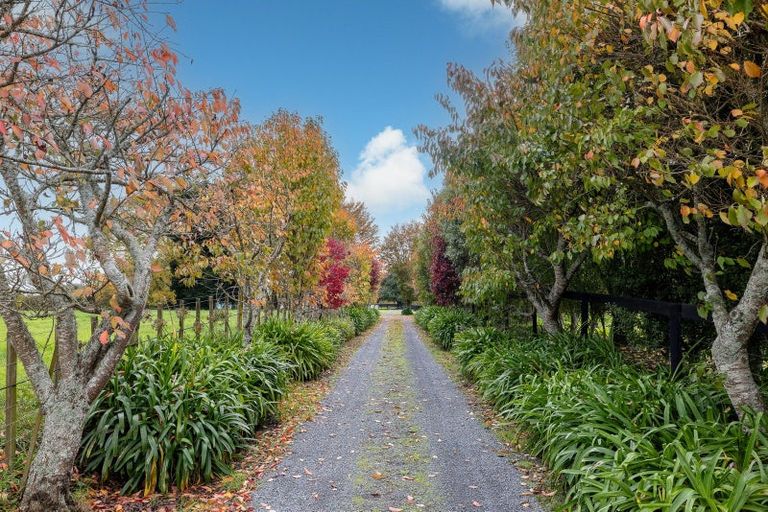 Photo of property in 204 Racecourse Road, Cambridge, 3493