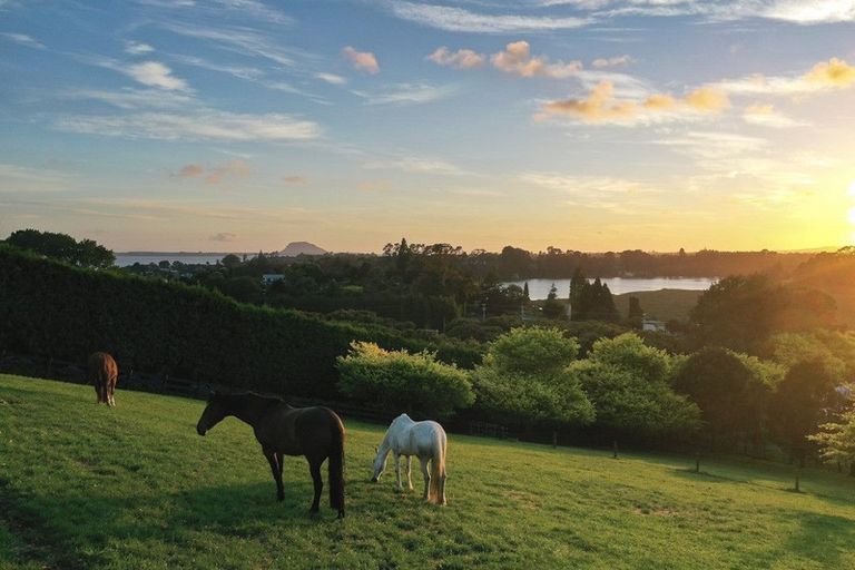 Photo of property in 217 Plummers Point Road, Whakamarama, Tauranga, 3172