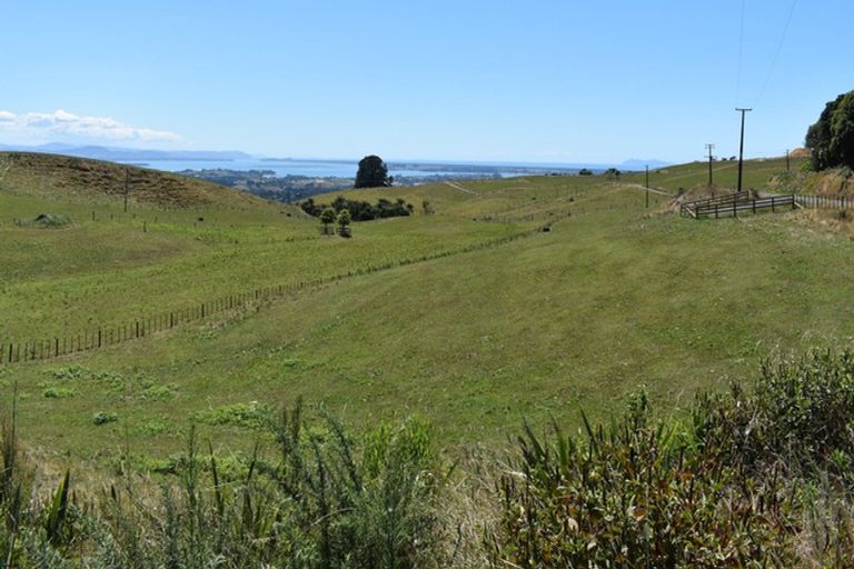 Photo of property in 596 Minden Road, Minden, Tauranga, 3176