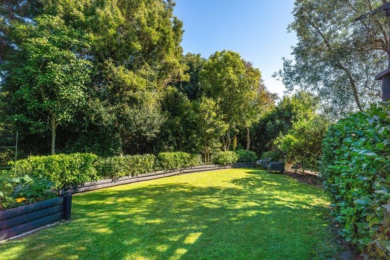 Photo of property in 15 George Kidd Street, Richmond, 7020