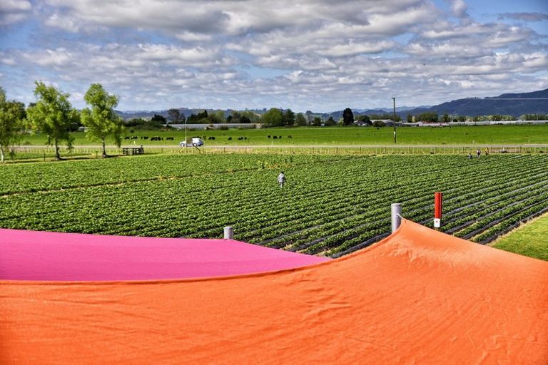 Photo of property in 12 Huna Road, Coastlands, Whakatane, 3191