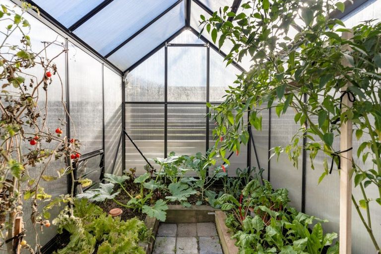 Photo of property in 59b Simpson Road, Papamoa Beach, Papamoa, 3118