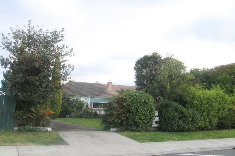 Photo of property in 401a Awatea Street, Akina, Hastings, 4122