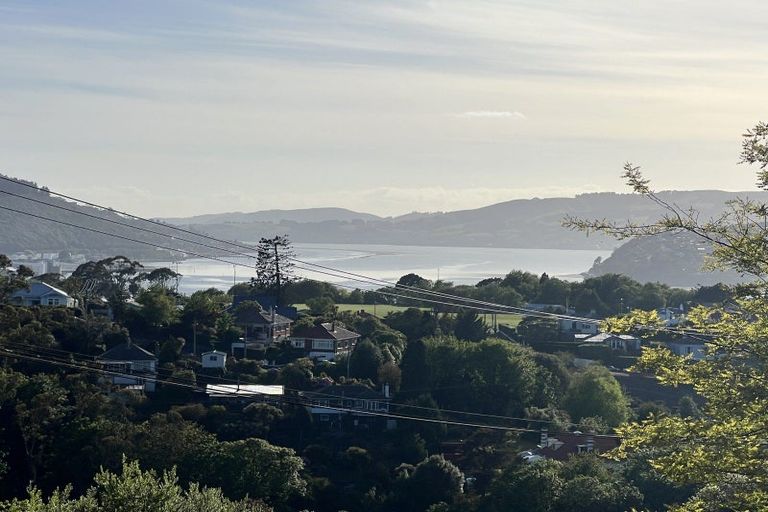 Photo of property in 106 Maryhill Terrace, Maryhill, Dunedin, 9011