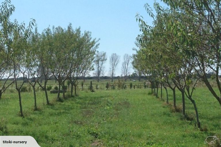 Photo of property in 324 Greig Road, Matata, Whakatane, 3194