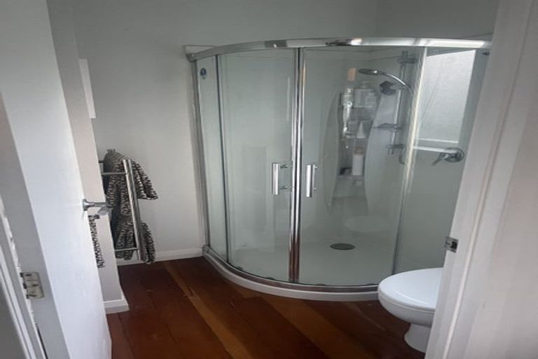 Photo of property in 102 Naylor Street, Hamilton East, Hamilton, 3216