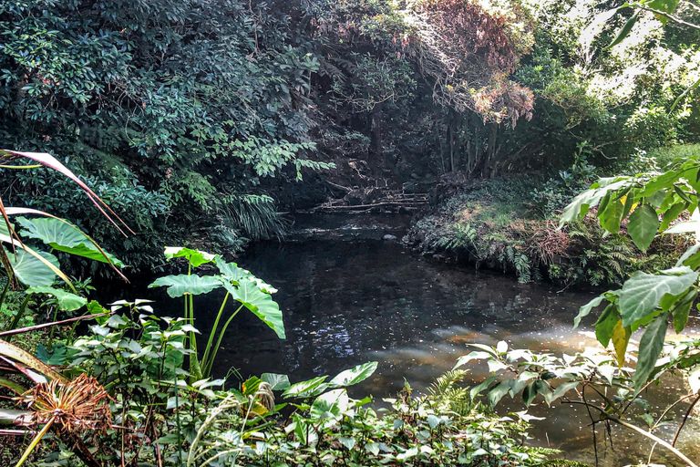 Photo of property in 5a Lanark Road, Kerikeri, 0230