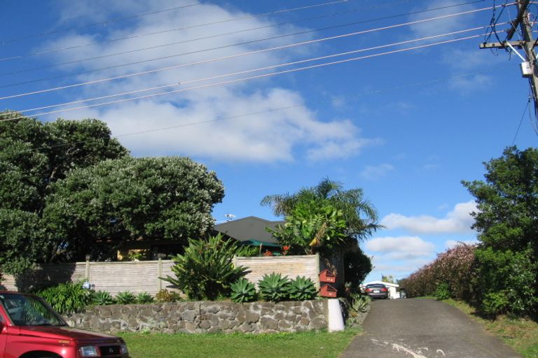 Photo of property in 47a Ruawai Road, Mount Wellington, Auckland, 1060