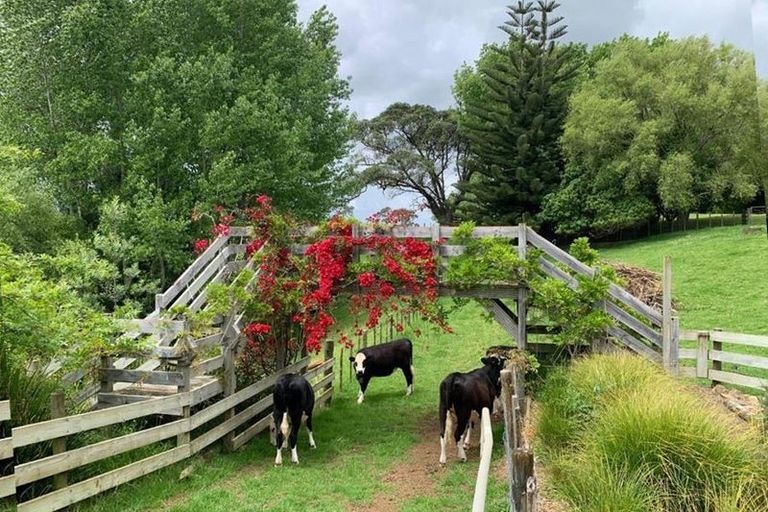 Photo of property in 1124 Awhitu Road, Pollok, Waiuku, 2683