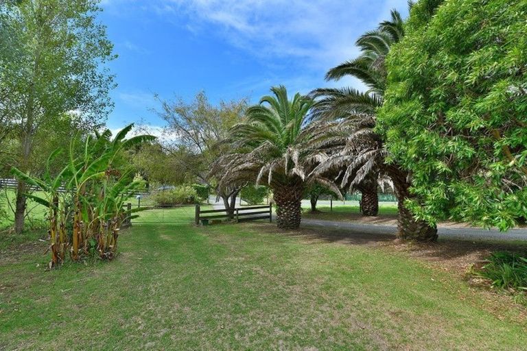 Photo of property in 39 Crosland Road, South Head, Helensville, 0874