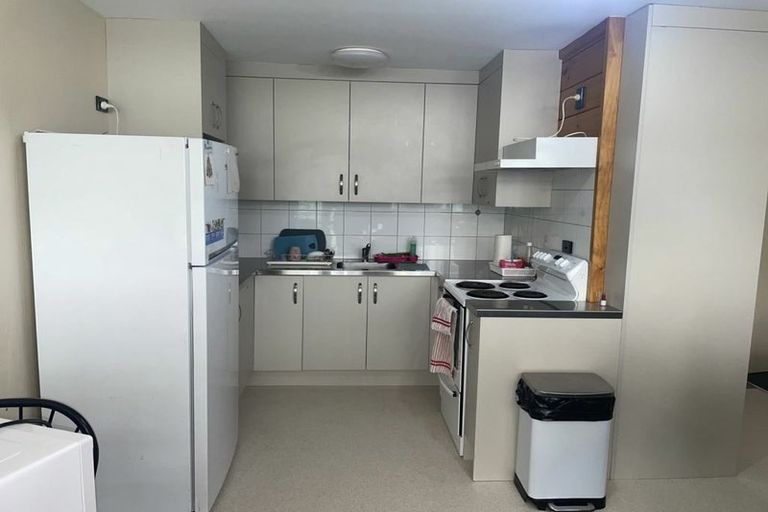 Photo of property in Te Awhina Apartments, 5/22 Sussex Street, Mount Cook, Wellington, 6021