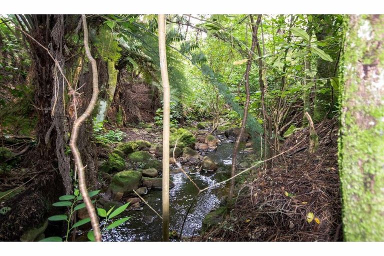 Photo of property in 88 Ness Road, Waipapa, Kerikeri, 0295