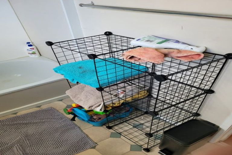 Photo of property in 19 Titchener Street, New Lynn, Auckland, 0600