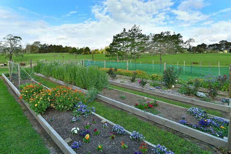 Photo of property in 39 Anderson Road, Kaukapakapa, Helensville, 0875