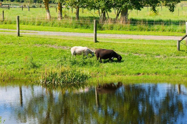Photo of property in 152 Postmans Road, Kaikoura Flat, Kaikoura, 7371
