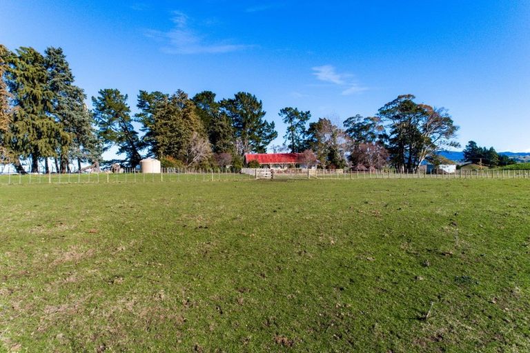 Photo of property in 209 Otamauri Road, Otamauri, Hastings, 4179