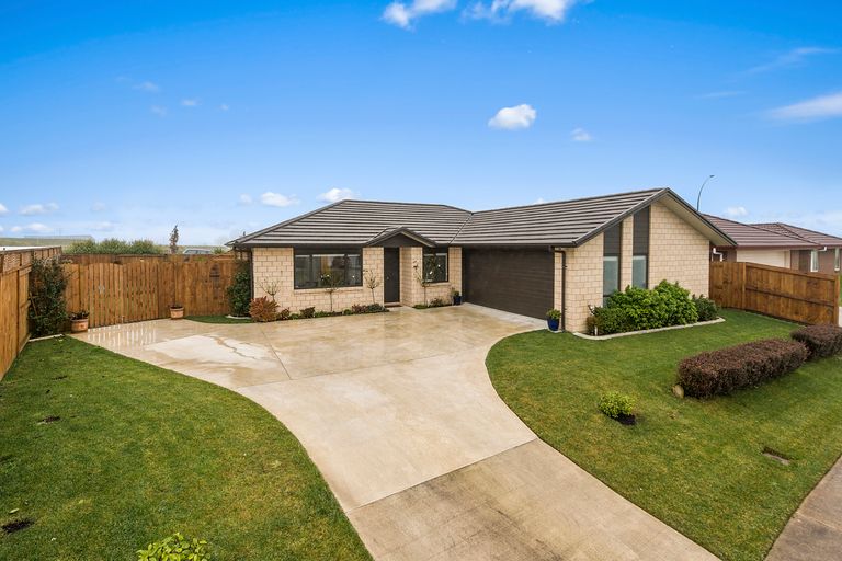 Photo of property in 4 Patatee Terrace, Baverstock, Hamilton, 3200