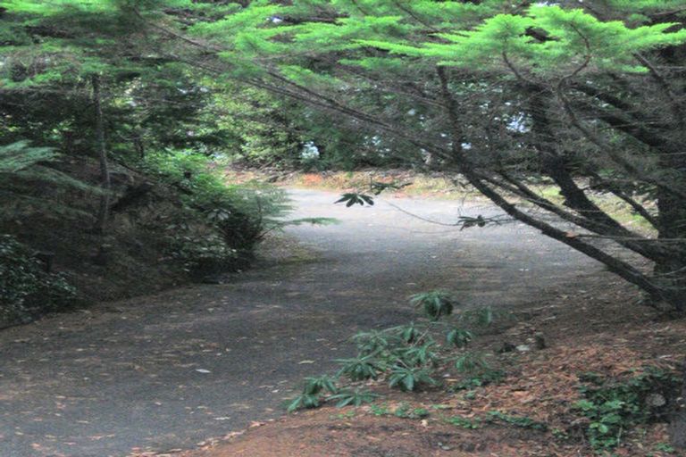 Photo of property in 78 Blue Mountains Road, Pinehaven, Upper Hutt, 5019