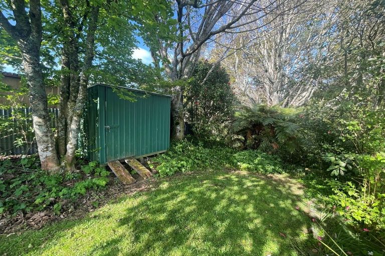 Photo of property in 19 Nikau Street, Inglewood, 4330