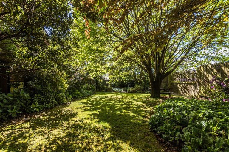 Photo of property in 411 Great North Road, Winton, 9720