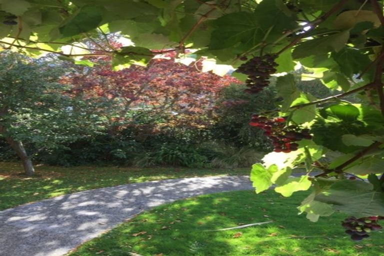 Photo of property in 398 North Road, North East Valley, Dunedin, 9010