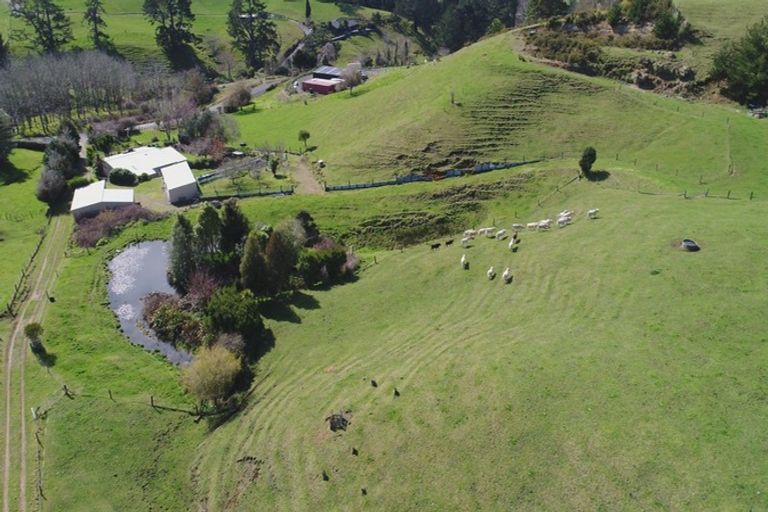 Photo of property in 559 Crawford Road, Minden, Tauranga, 3171