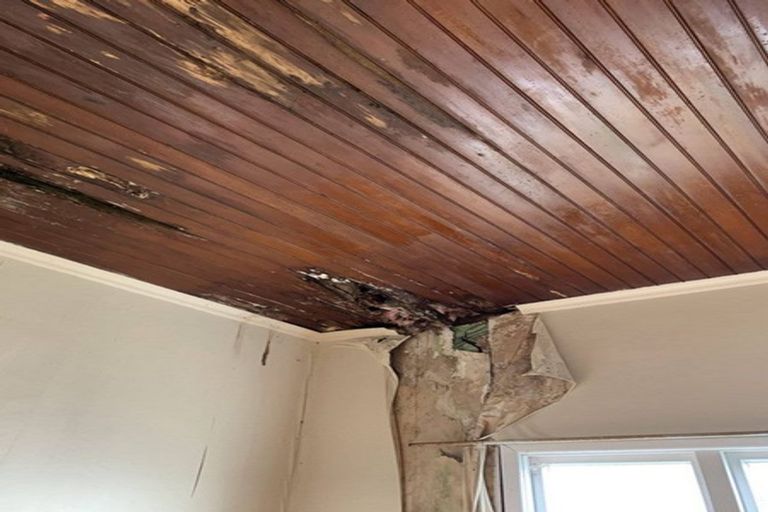 Photo of property in 130 Bann Street, Bluff, 9814