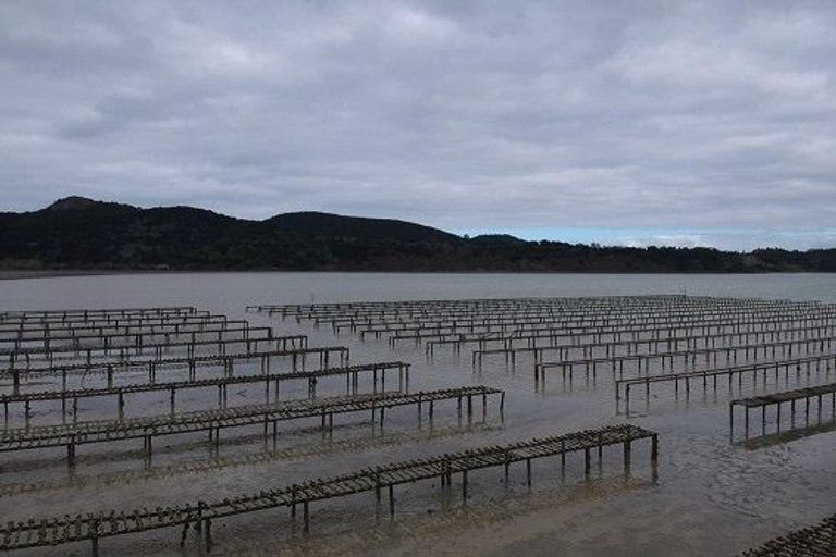 Photo of property in 50 Kiteone Road, Parua Bay, Whangarei, 0174