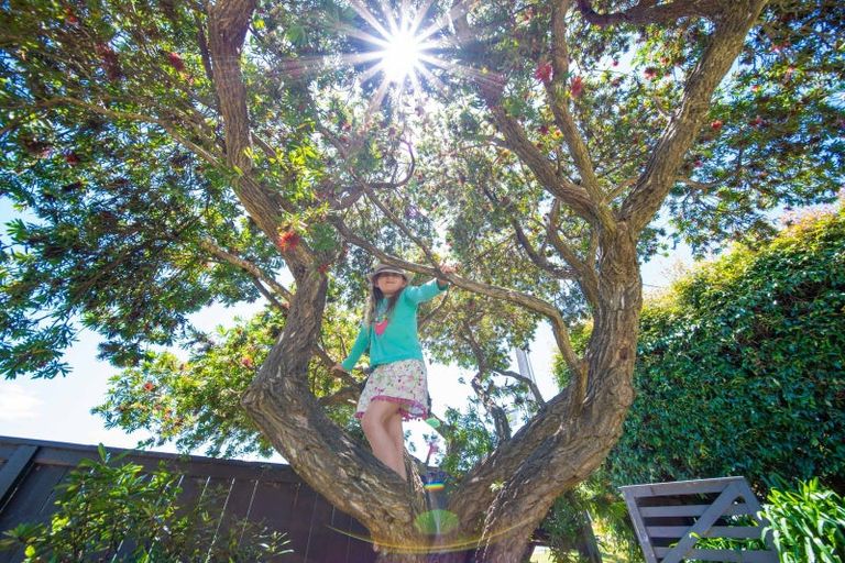 Photo of property in 39 Shoebridge Crescent, Ngunguru, Whangarei, 0173