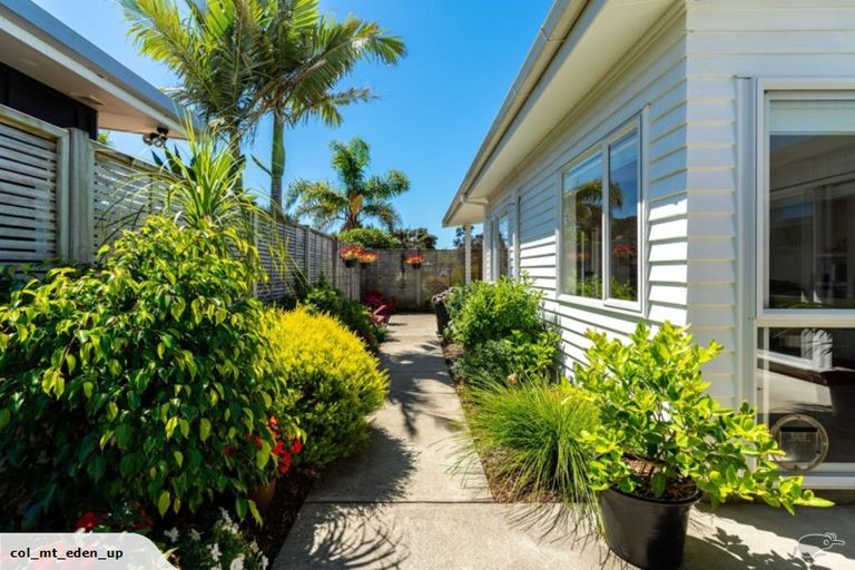 Photo of property in 14 Seabreeze Road, Mangawhai Heads, Mangawhai, 0505