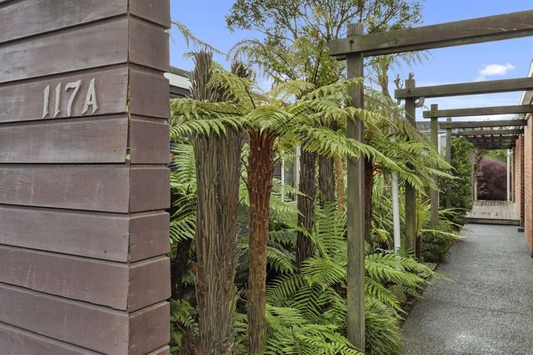 Photo of property in 117a Waimairi Road, Ilam, Christchurch, 8041