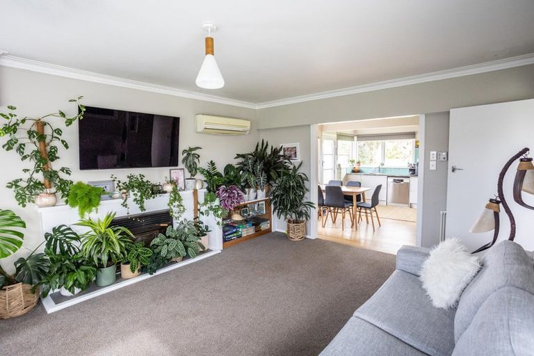 Photo of property in 3 Ferguson Road, Coastlands, Whakatane, 3191