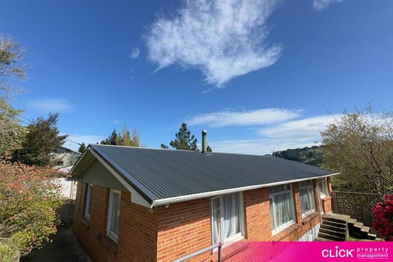 Photo of property in 238 Kenmure Road, Kenmure, Dunedin, 9011