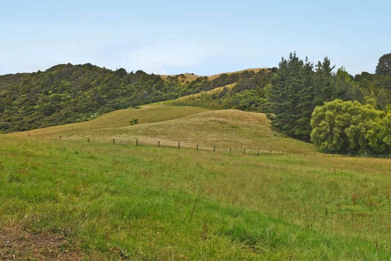 Photo of property in 64 Dennis Road, Kaipara Flats, Warkworth, 0981