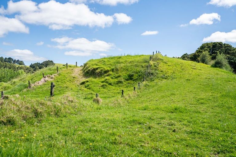 Photo of property in 278 Griffin Road, Maungaturoto, 0583