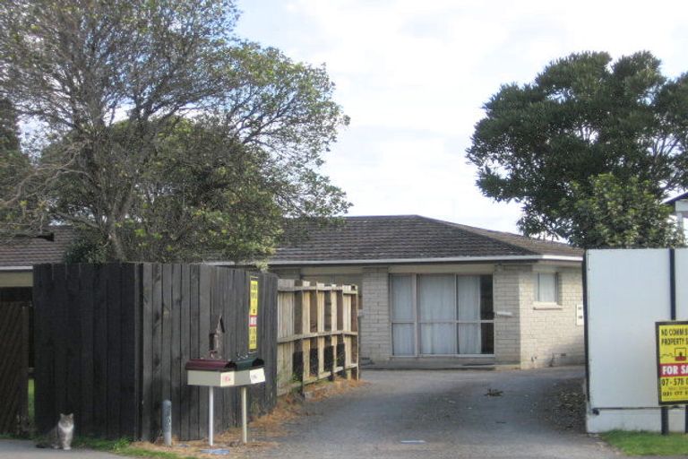 Photo of property in 18a Tudor Place, Mount Maunganui, 3116