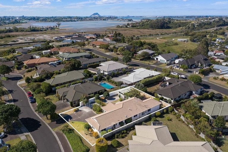 Photo of property in 6 Golden Heights, Hairini, Tauranga, 3112