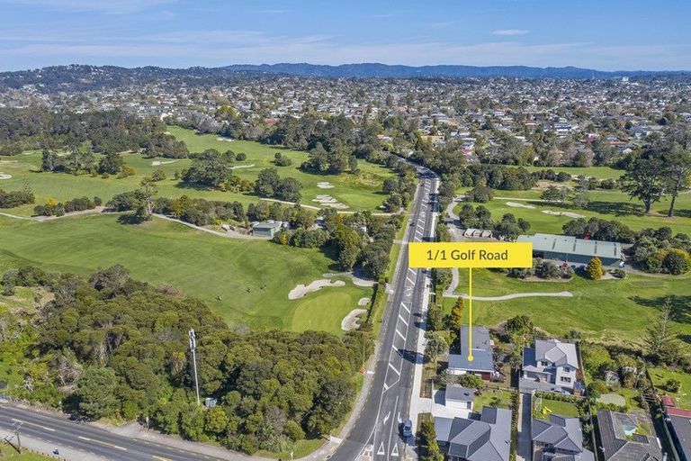 Photo of property in 1/1 Golf Road, New Lynn, Auckland, 0600