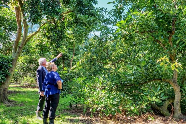 Photo of property in 50 Wright Road, Dairy Flat, Albany, 0794